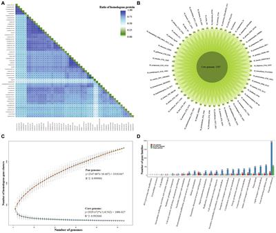 Contraction and expansion dynamics: deciphering genomic underpinnings of growth rate and pathogenicity in Mycobacterium